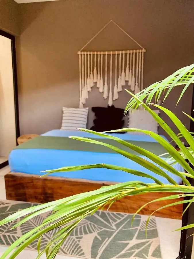 Vida Jungle Apart 1 With Special Fee To Access Hotel Bardo Tulum