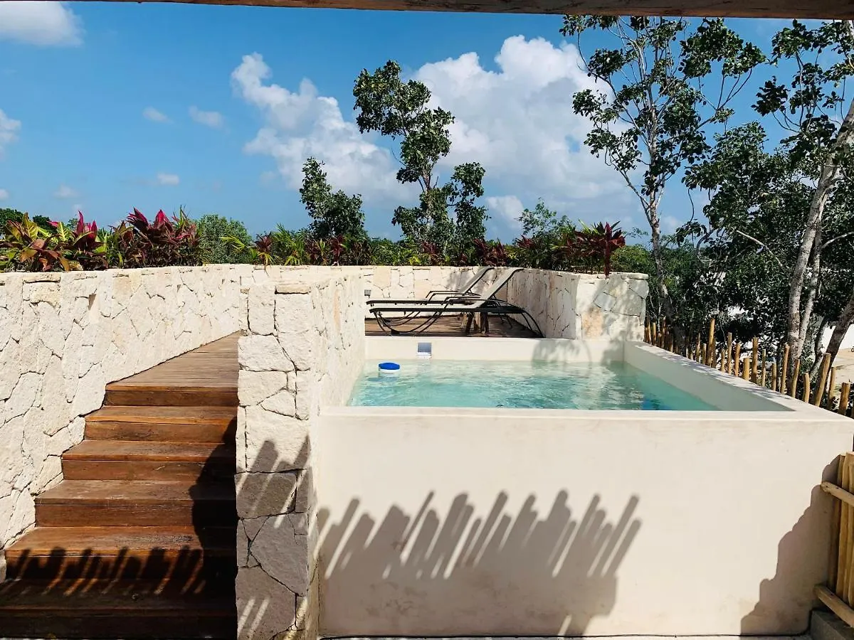 Vida Jungle Apart 1 With Special Fee To Access Hotel Bardo Tulum Apartment