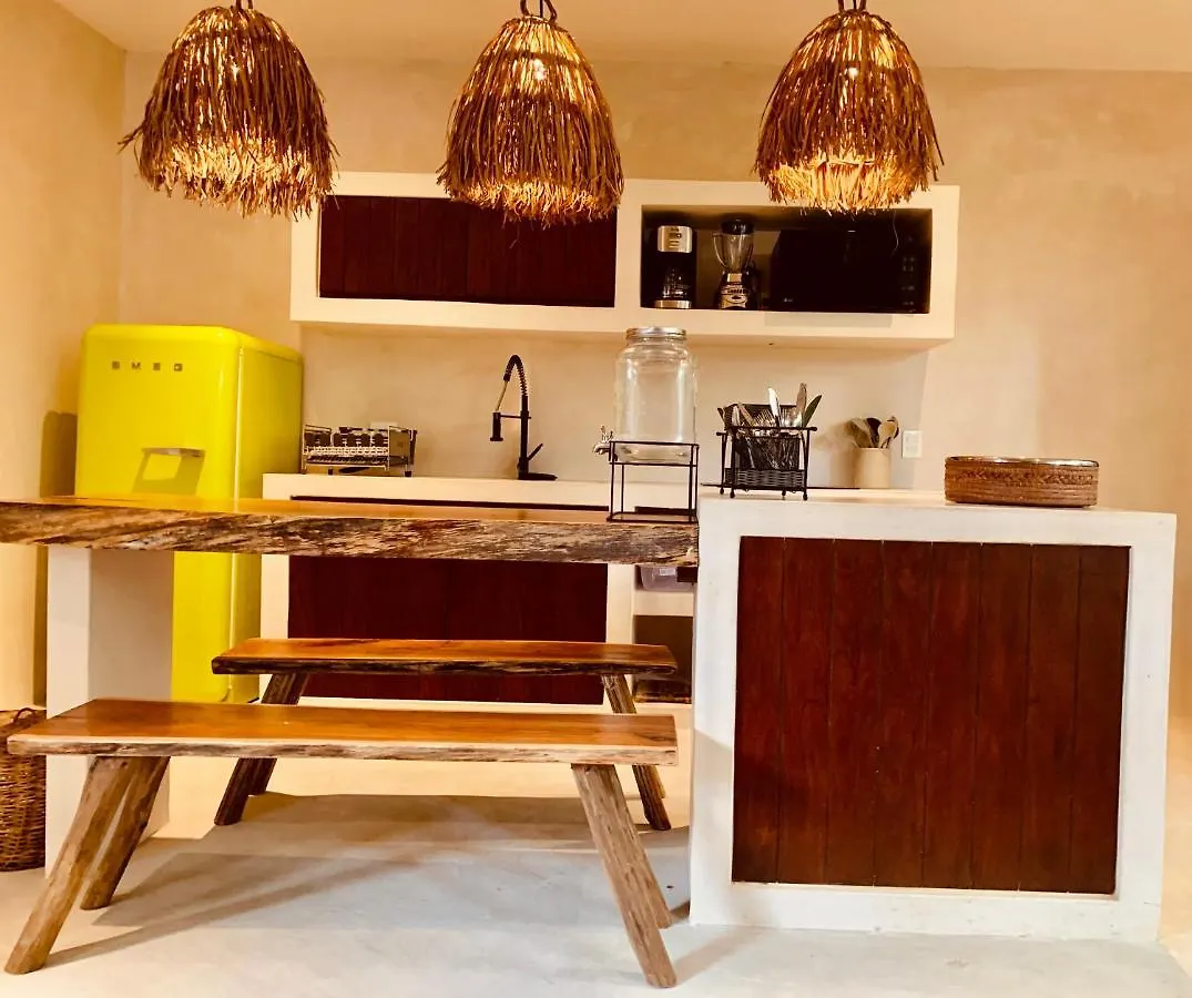 Apartment Vida Jungle Apart 1 With Special Fee To Access Hotel Bardo Tulum