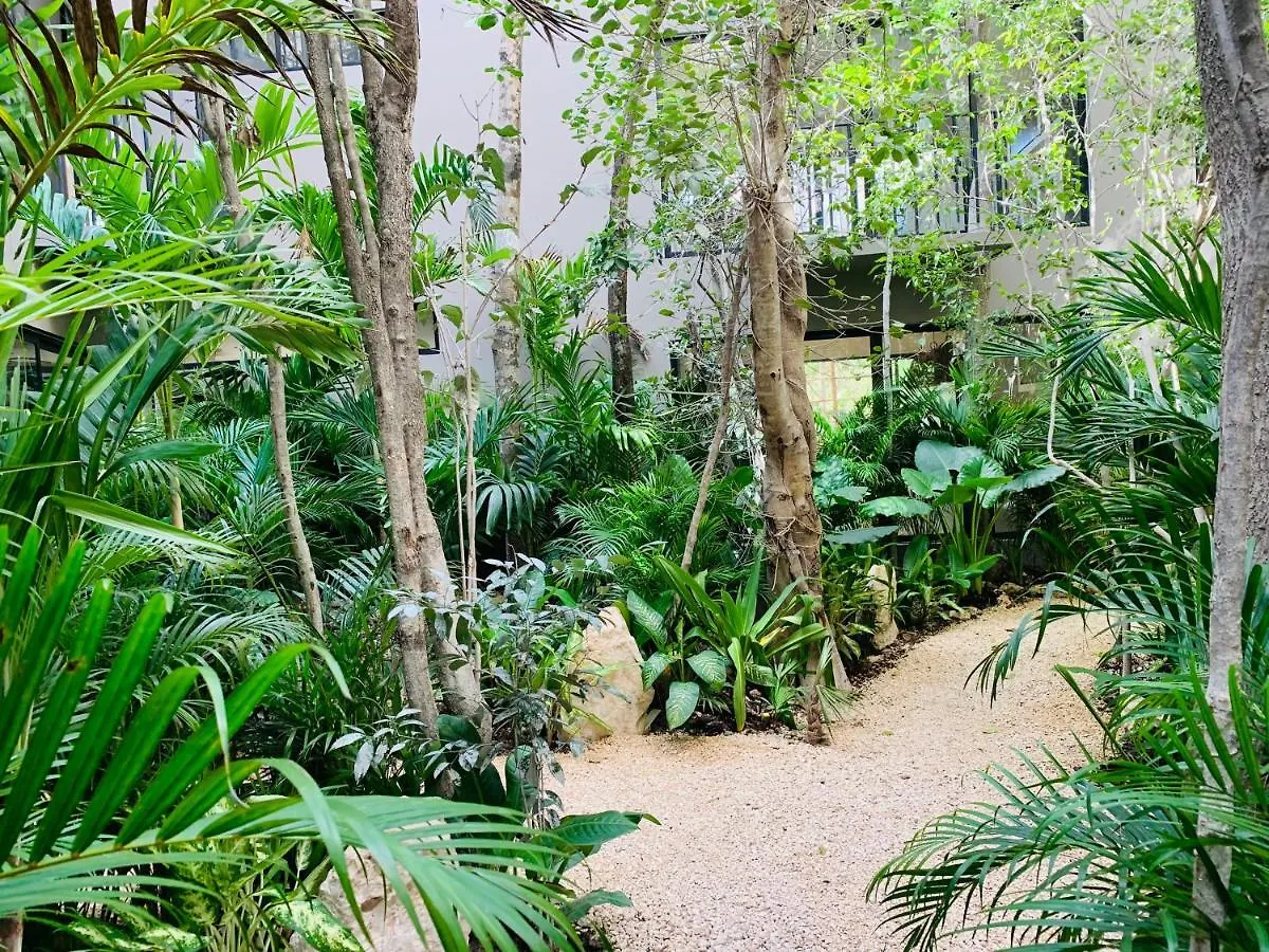Apartment Vida Jungle Apart 1 With Special Fee To Access Hotel Bardo Tulum Mexico