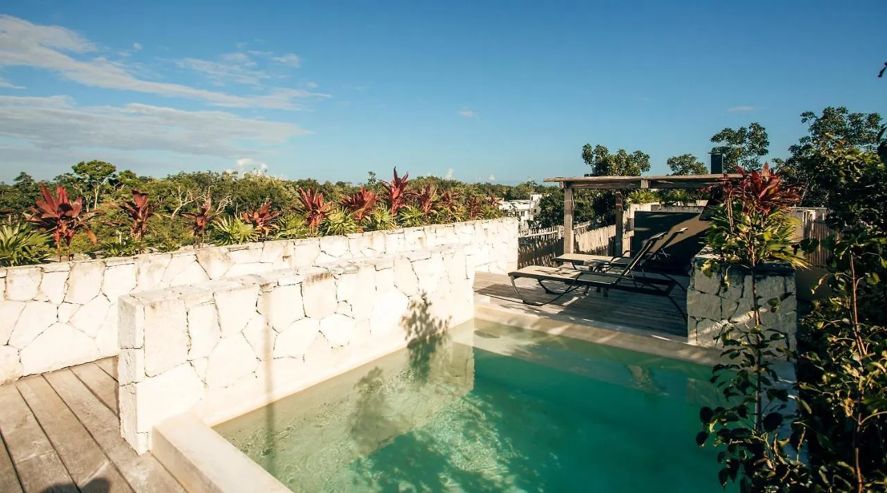 Vida Jungle Apart 1 With Special Fee To Access Hotel Bardo Tulum Apartment